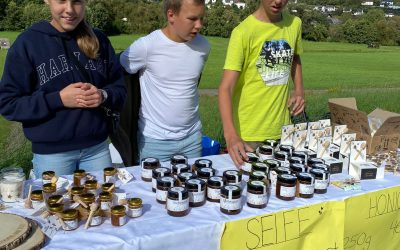 Alsted Schule feiert Bienenstock-Opening